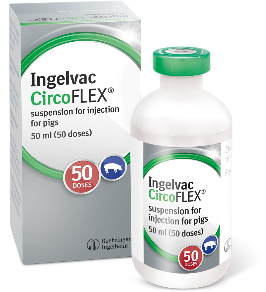 Вакцина Ингельвак Циркофлекс®: Длительность защиты при выращивании свиней до 9 месяцев