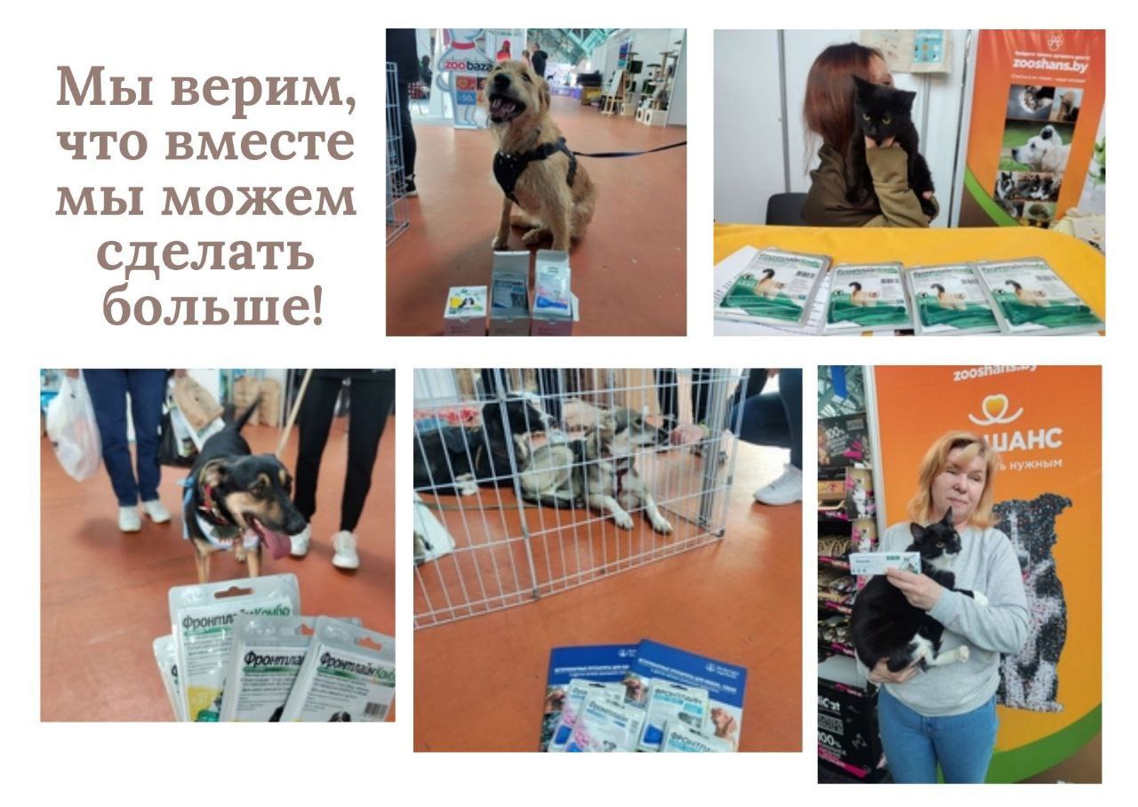 31.05.2024 8 Всебелорусский ветеринарный конгресс. 31.05.2024 8 Всебелорусский ветеринарный конгресс.