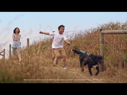 NexGard SPECTRA® Let’s Go! TVC 30 second NexGard SPECTRA® Let’s Go! TVC 30 second